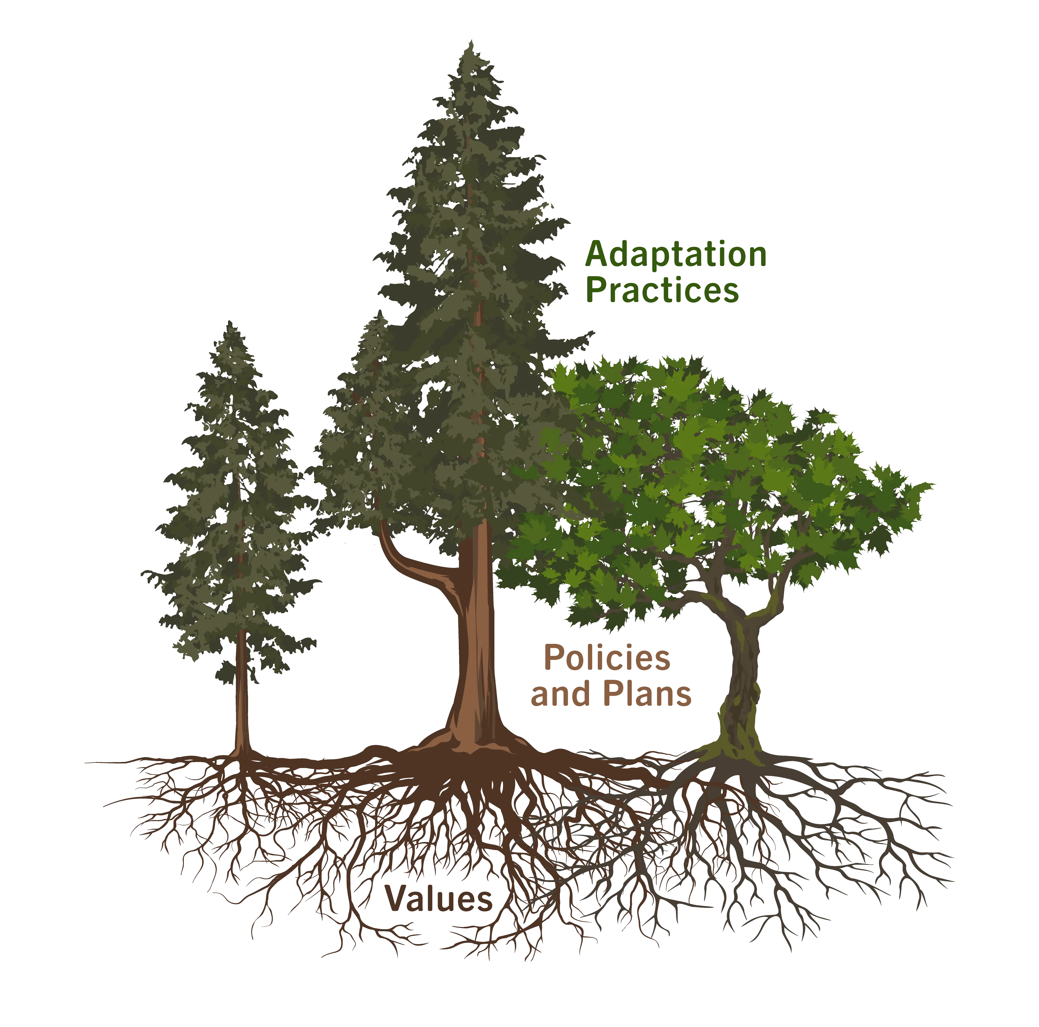 An illustration explaning how adaptation practices emerge from values. From: Devin Todd, Vanessa Lueck, Rene Suša, Jade Chicorelli, Adriaan Bogaard. 2024. Climate Insights Course. Pacific Institute for Climate Solutions.